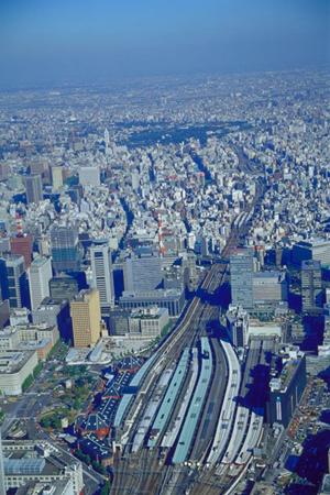 香川で天然の木の家で暮らしたい方へ