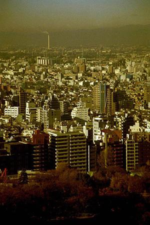 ニセコの不動産は海外でも人気がある